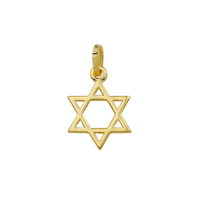Gouden hanger davidster – 14 karaat – detailfoto