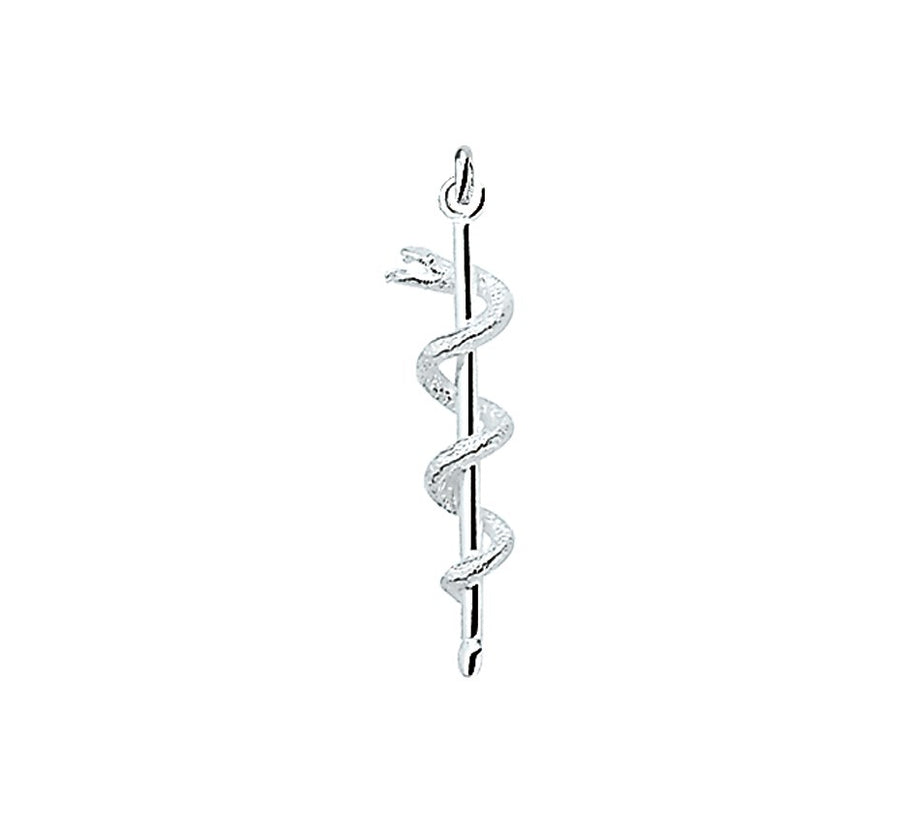Zilveren hanger esculaap