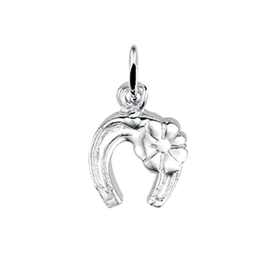 Zilveren hanger paardenhoef