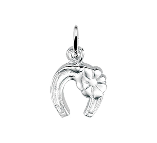 Zilveren hanger paardenhoef