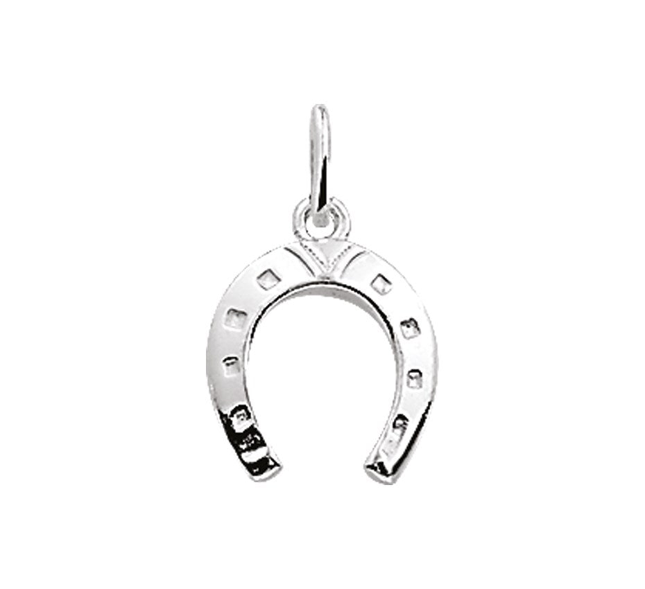 Zilveren hanger hoefijzer