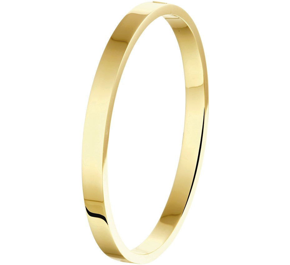 Gouden bangle, scharnier massief vlakke buis 6 x 61 mm