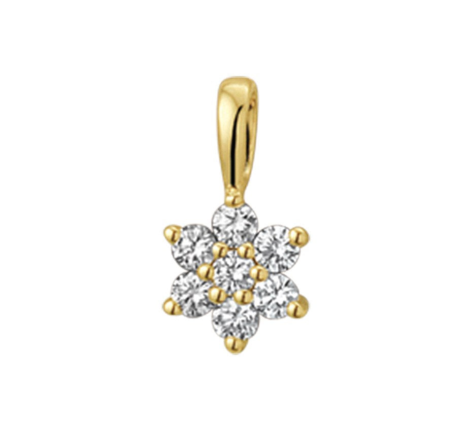 Gouden hanger, ster met diamant 0,14 ct halo – 14 karaat