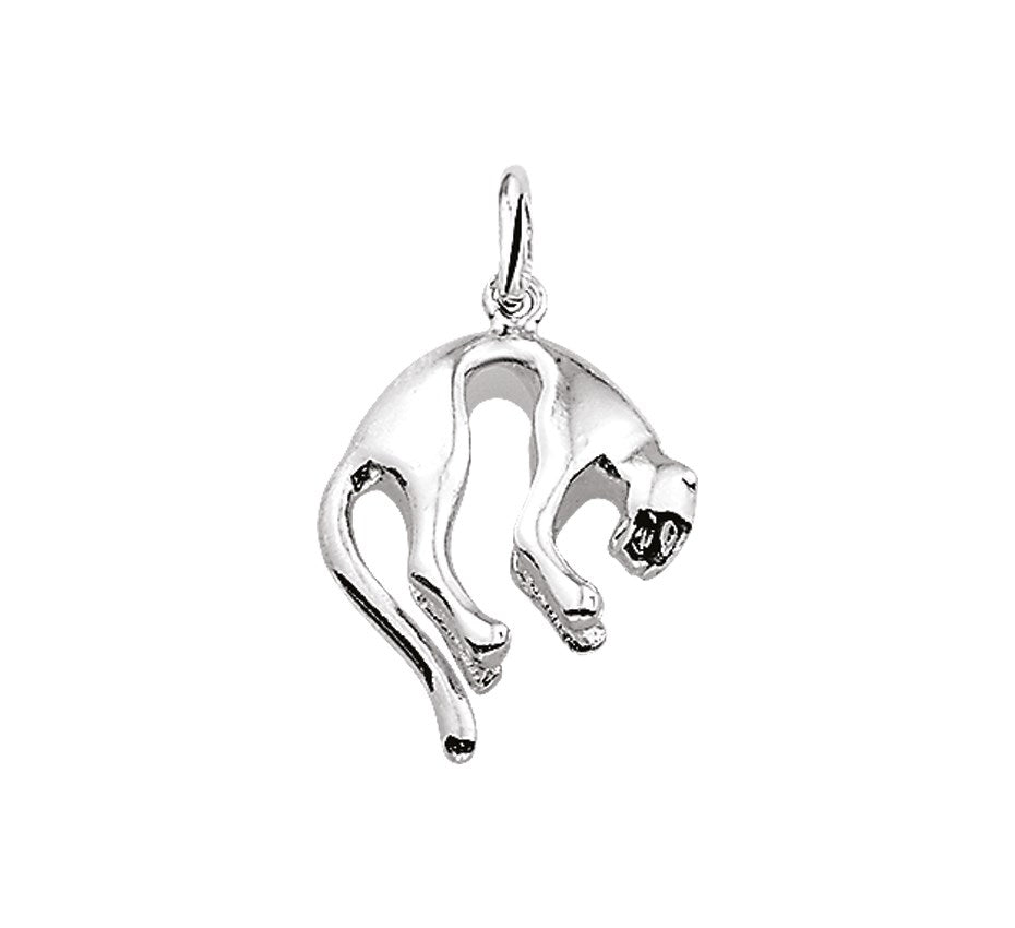 Zilveren hanger panter