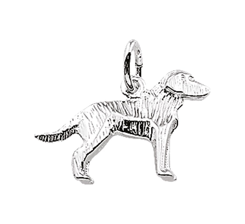 Zilveren hanger labrador