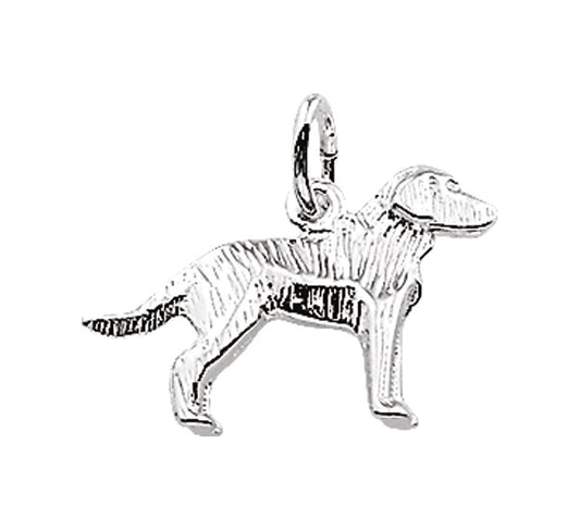 Zilveren hanger labrador